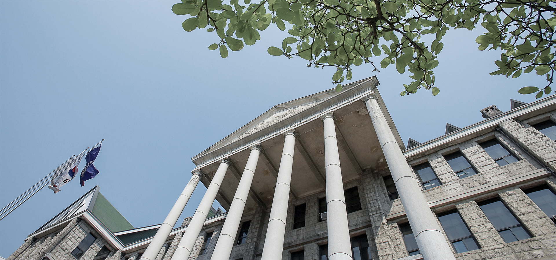 �����̵� ���